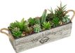 Unyqoos® Plante artificielle plante grasse dans pot en bois