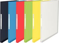Esselte Vivida PP A4 Map with 80 Flexible Transparent Sleeves, Multicolor