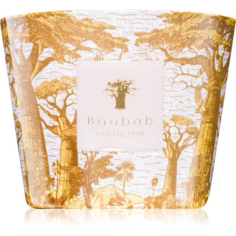 Baobab Collection Sacred Trees