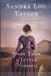 More Hadley Hope More Than a Little Turmoil Paperback