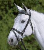 WALDHAUSEN STAR HOOFDSTEL DIAMOND Groen