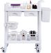 Shanghai Sishun Technology Co., Ltd Chariot de laboratoire, à 2 niveaux, Chariot multifonctionnel avec 2 tiroirs et 4 roues silencieuses, Chariot médical mobile en matériau PP, Chariot roulant à 3 plateaux pour laboratoire, clinique, blanc