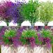 Ibenzoa® Set de fleurs artificielles colorées pour intérieur et extérieur – 12 bouquets résistants aux intempéries