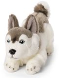 Living Nature - Peluche Husky, jouet pour chien, chiot, en peluche douce