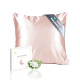 townssilk Kussensloop 100% pure moerbeizijde, 19 momme, dubbelzijdig, ter bescherming van haar en huid, verborgen ritssluiting, draaddichtheid 600, 1 stuk, 65 x 65 cm, roze (dusty pink)