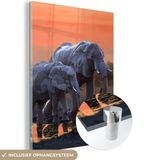 MuchoWow® Glass Painting 120x160 cm - Elephant - Acrylic Glass - Sunset - Orange - Wall Art