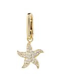Pilgrim Starfish Hangers Gold / Transparent