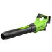 Greenworks 48V(24V x 2) Accu Axiaal Bladblazer met Borstelloze Motor, Turbo Functie, 217 km/u, 16,4 m³/min ZONDER Twee van Accu’s & Lader BL48L00-01