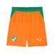 PUMA Ivoorkust 2026 short voor Heren, Groen/Oranje, Maat XS