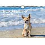 Hondenmagie Seelenzauber Hondenmagie voor kleine honden, DIN A4-formaat, voor puppy's en kleine honden