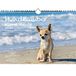 Hondenmagie Seelenzauber Hondenmagie voor kleine honden, DIN A4-formaat, voor puppy's en kleine honden