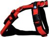 Anny.X Fun Hondentuig - Zwart/Rood - XS