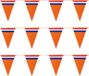 Bellatio Decorations Slinger oranje - 3x10 meter - Holland vlaggenlijn