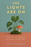 The Independently Published The Lights Are On