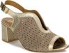 Maciejka Schoenen Maciejka 0692004001