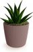 Prosperplast Plantenpot/bloempot Buckingham - buiten/binnen - design kunststof - terra bruin - D14 x H13 cm