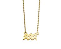 Jwls4u Waterman Ketting Gold-plated Zodiac ZN002G
