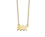 Jwls4u Waterman Ketting Gold-plated Zodiac ZN002G