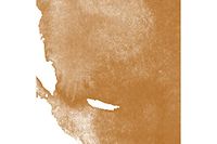 Aquafine 29,5 ml Inkt Raw Sienna