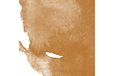 Aquafine 29,5 ml Inkt Raw Sienna