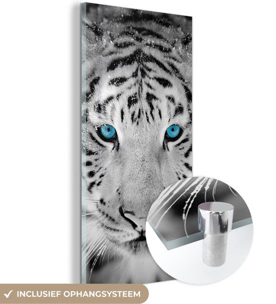 MuchoWow® Glass Painting 60x120 cm - Acrylic Glass Painting - Tiger - Winter - Animals - Photo on Glass - Paintings