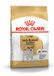 Royal Canin Jack Russell Adult Hondenvoer - 4 x 3 kg