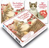 Franciens Katten kerstdoosje - Kitten met kerstbal - Kitten in mand