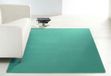 Hanse Home Vloerkleed Nasty - Mintgroen 80x150 cm