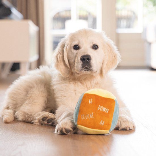 Beeztees Puppy Knuffel Kubus