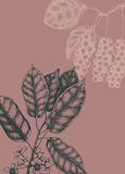 Komar Wild Berry Muurfoto - 50 x 70 cm