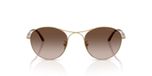 Giorgio Armani AR 6177 Lunettes de soleil homme Or Rond Marron 50mm