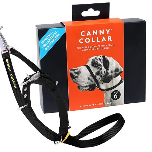 Canny Collar – Anti-Trek Hoofdhalsband voor Honden | Trainingshulpmiddel tegen Trekken aan de Lijn | Zacht, Veilig en Zonder Wurging voor Rustige Wandelingen – Zwart, Maat 6