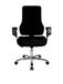 Topstar Bureaustoel Top Point SY Deluxe incl. armleuningen zwart