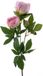 Nova Nature Paeony spray Chiba pink 65 cm kunstbloem