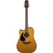 Takamine GD30CELH-NAT