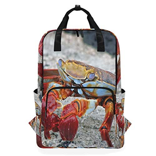 MONTOJ Travel Rugzak Cool Color Krab School Rugzak