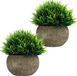 Unyqoos Set van 2 Realistische Miniatuur Kamerplanten in Decoratieve Grijze Potten