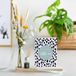 BloomPost Bloomemory baby | Brievenbus bloemen | Kraam cadeau bezorgd door de brievenbus