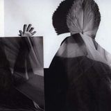 Bad Flies+Flies Bad Crab Hand LP