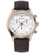 Frédérique Constant FC-296SW5B4 Horloge - Leer - Bruin - Ø 40 mm