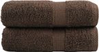 vidaXL - Serviettes d'invités - SOLUND - 2 pièces - 600 g/m² - 30x50 cm - Marron