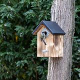 C J Wildlife CJ Wildbird Foods Europe Protector Nestkast Bandera 34 mm