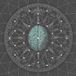 PIAS Nederland Pelagic Records Bipolar Architecture - Metaphysicize (CD)