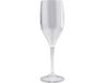 Santex Champagneglazen/prosecco flutes - van onbreekbaar kunststof - transparant - 150 ml - Picknick - Camping