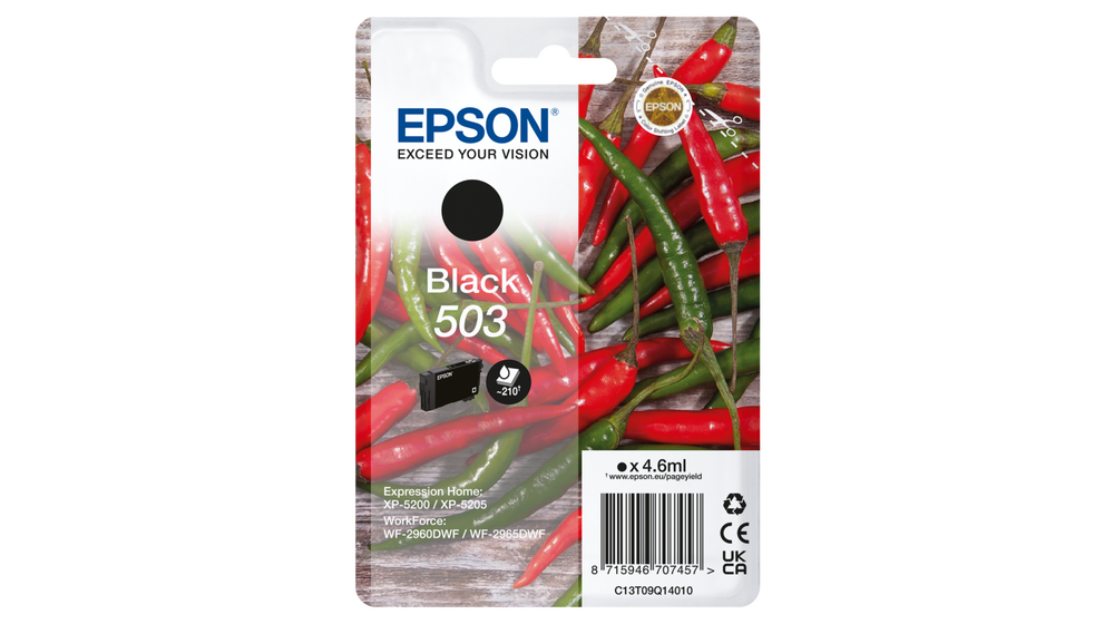 Epson 503 single pack / zwart