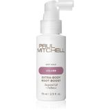 Paul Mitchell Volume Spray 75 ml