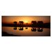 Homemania Afbeelding olifant dieren, voor woonkamer, slaapkamer, meerkleurig, 70 x 3 x 100 cm, HM20KNV70 x 100 – 144, polyester, hout