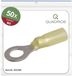 Quadrios 23C529 Ringkabelschoen Geel 50 stuk(s)