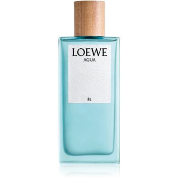 Loewe Agua eau de toilette / 100 ml / heren