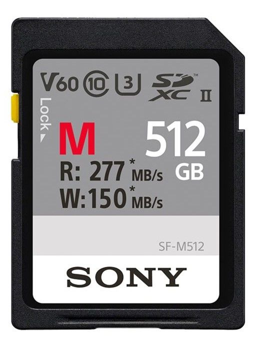 Sony 512 GB SF-M-serie - 0027242926387